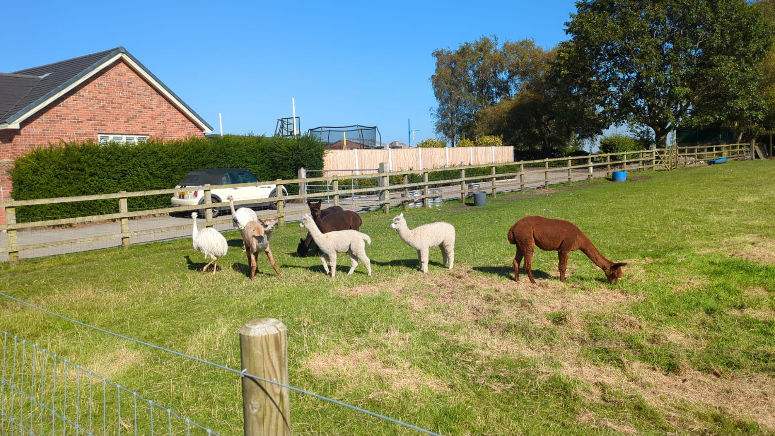 LEJOG Day 8 – Market Drayton to Culcheth